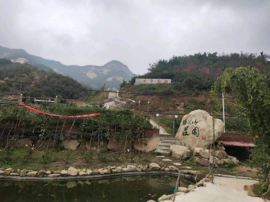 了解知识星球平台-谁知道玩什么游戏可以赚钱,汇集专业知识,个人成长利器!
